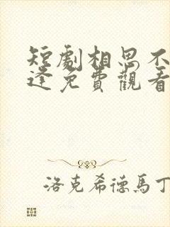 短剧相思不似相逢免费观看