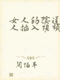 女人的阴道被男人插入视频