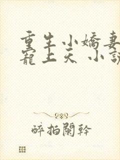 重生小娇妻大佬宠上天 小说封面