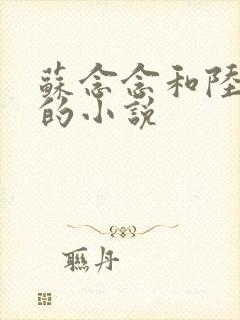 苏念念和陆什么的小说