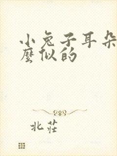 小兔子耳朵像什么似的