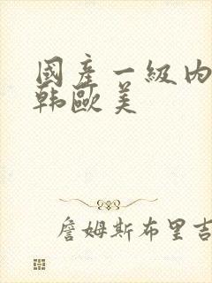 国产一级内射日韩欧美封面