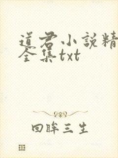 道君小说精校版全集txt