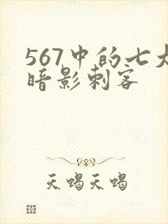 567中的七大暗影刺客