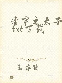 清穿之太子娇妃 txt下载