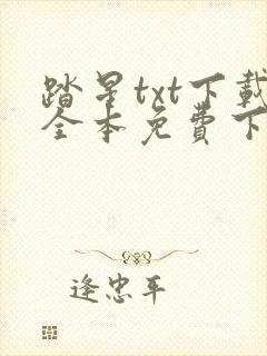 踏星txt下载全本免费下载