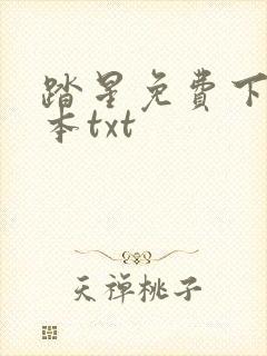 踏星免费下载全本txt封面