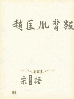 赵匡胤背叛柴荣封面