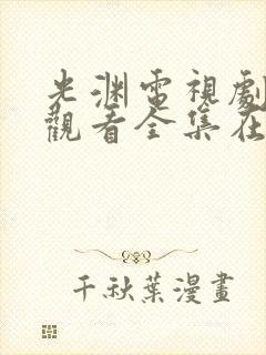 光渊电视剧免费观看全集在线播放封面