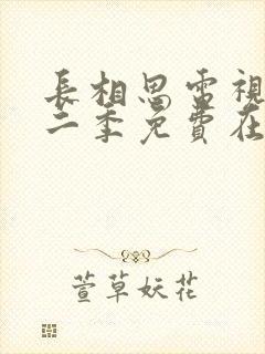 长相思电视剧第二季免费在线观看封面