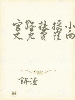 官路扶摇小说全文免费崔向东