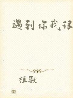 遇到你我很幸运封面