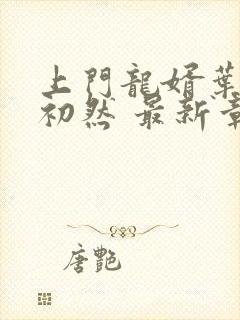 上门龙婿叶辰萧初然 最新章节