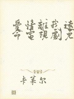 爱情离我远得要命电视剧免费观看