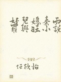 好儿媳秦雨罗明罗兴旺小说