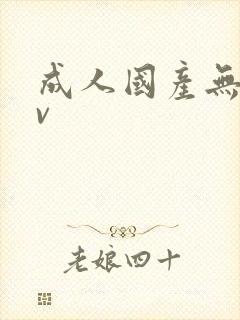 成人国产无毛av