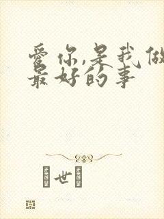 爱你,是我做过最好的事封面