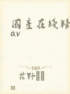 国产在线精品一av