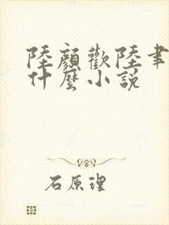 陆颜欢陆聿珩是什么小说封面