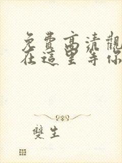 免费高清观看我在这里等你封面