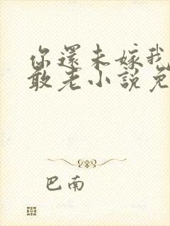 你还未嫁我怎么敢老小说免费阅读