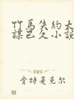 竹马失约太子蓄谋已久小说全文免费阅读下载封面