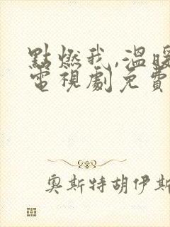 点燃我,温暖你电视剧免费观看59