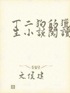 丁二狗的猎艳人生小说阅读