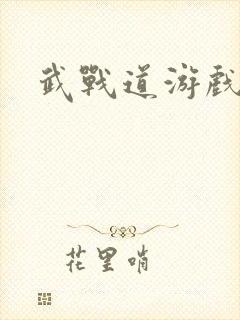 武战道游戏