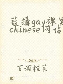 蓝摄gay裸男chinese网站