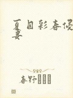 夏目彩春侵犯人妻