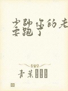 少帅你的老婆又要跑了