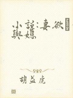 小说:妻欲·公与媳