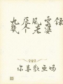 九辰风云录阳辰几个老婆