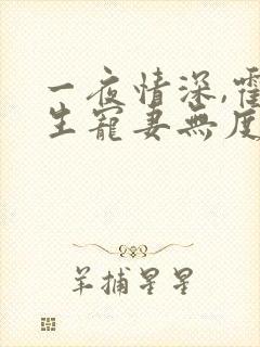 一夜情深,霍先生宠妻无度全书