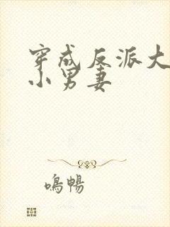 穿成反派大佬的小男妻