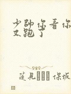 少帅你看你老婆又跑了封面