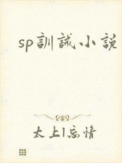 sp训诫小说