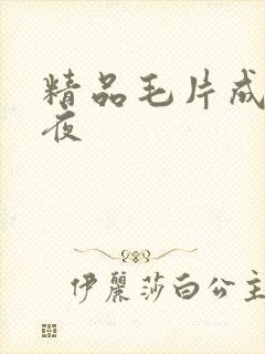 精品毛片成人午夜