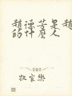 赵德芳是赵匡胤的什么人封面