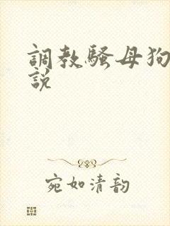 调教骚母狗的小说