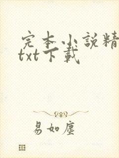 完本小说精校版txt下载
