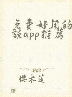 免费好用的看小说app推荐