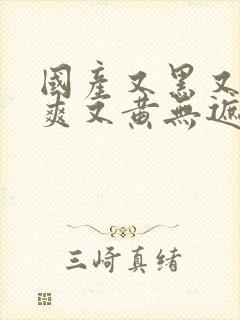 国产又黑又粗又爽又黄无遮挡