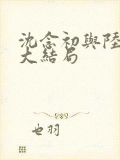 沈念初与陆临洲大结局