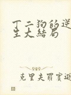丁二狗的逆袭人生大结局
