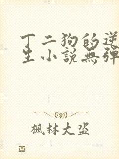 丁二狗的逆袭人生小说无弹窗