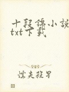十段锦小说全本txt下载
