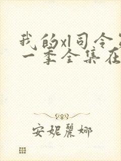 我的xl司令第一季全集在线观看