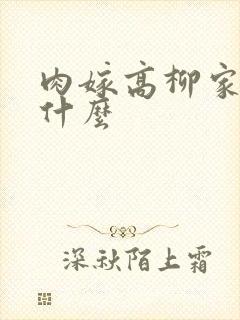 肉嫁高柳家讲了什么